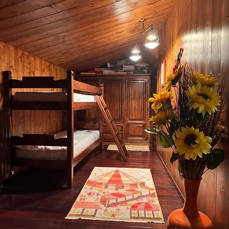 Tatil Evi Domus Pacinus