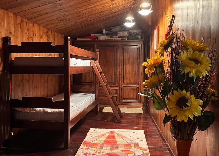 Holiday home Domus Pacinus